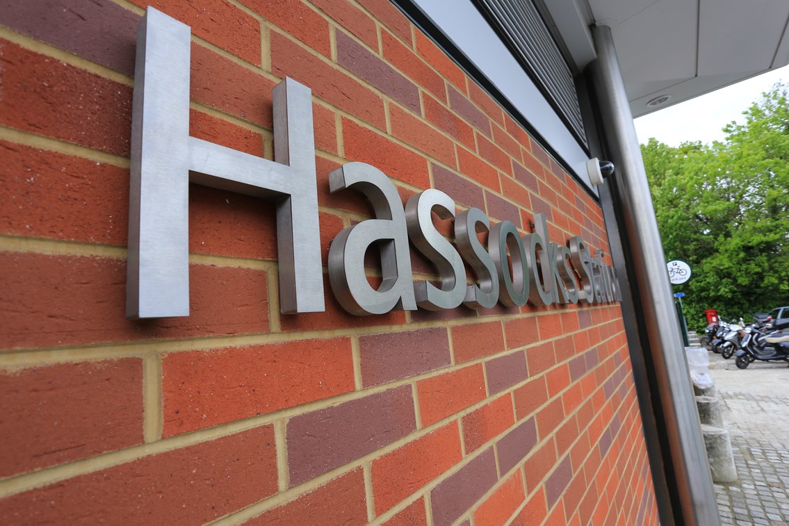 Hassocks - accessibility opening: Hassocks - accessibility opening