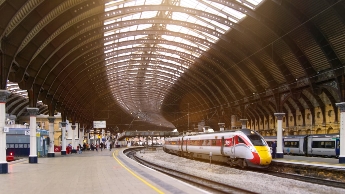 York-4