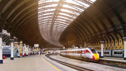 York-4