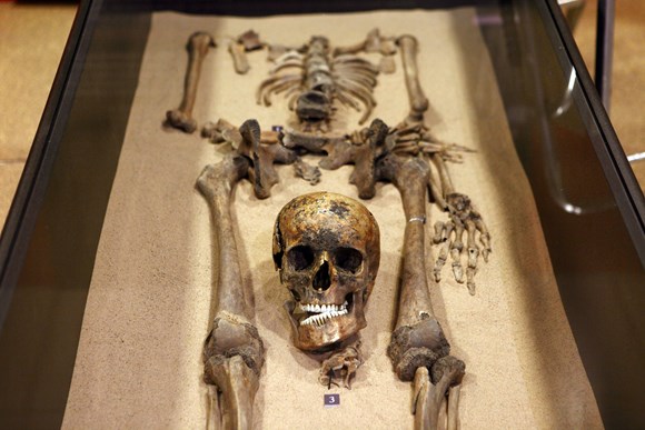 Gladiators close up (warning - human remains)