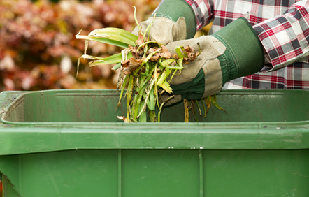 Garden waste-4