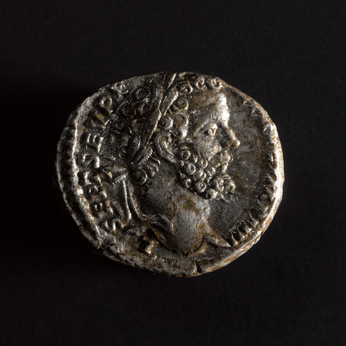 A denarius of Septimius Severus. Image © National Museums Scotland