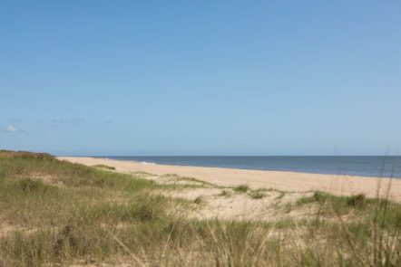 Beach at Seashore
