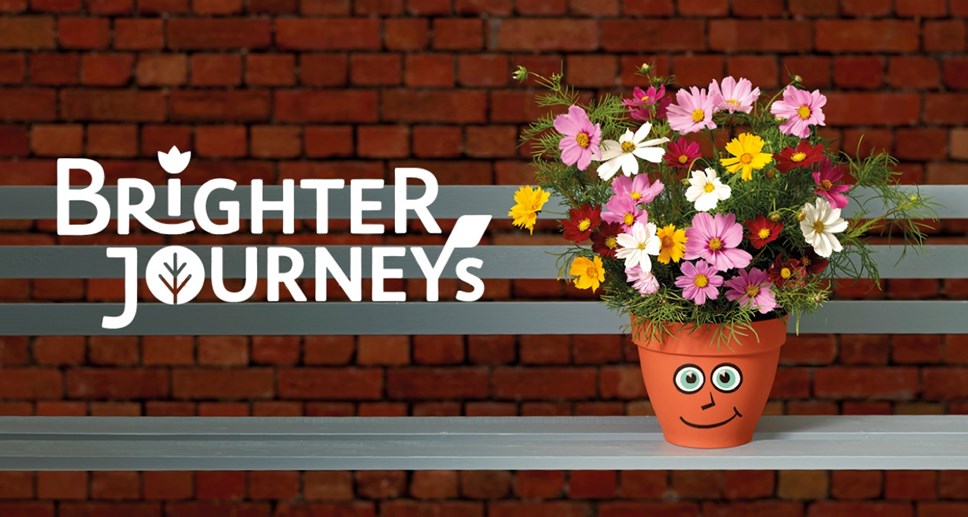 Brighter Journeys