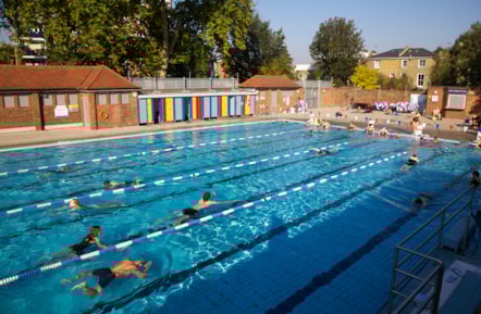 hackney-8048124.jpg