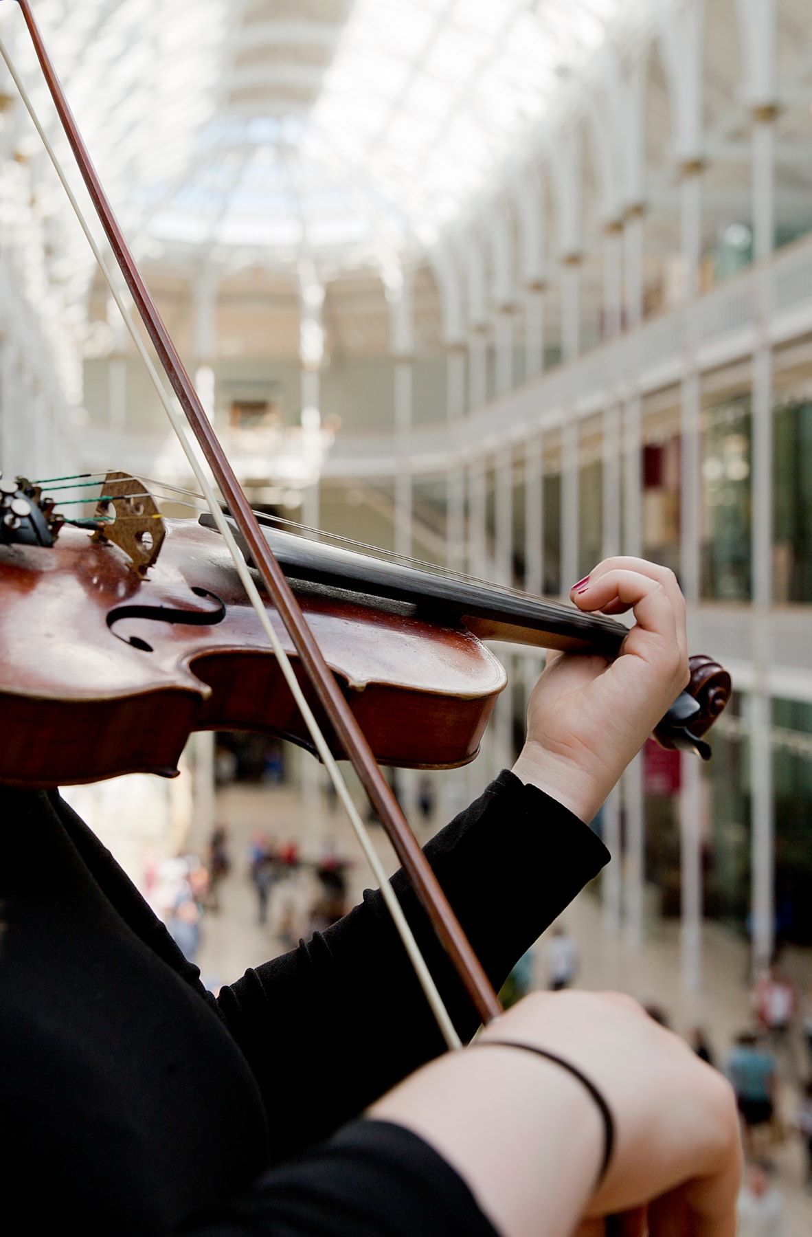 Music at the Museum. Photo © Ruth Armstrong (1)