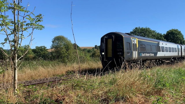 Full speed ahead on West of England line as full timetable is brought back between Salisbury and Exeter St Davids: Dry soil with SWR train-2