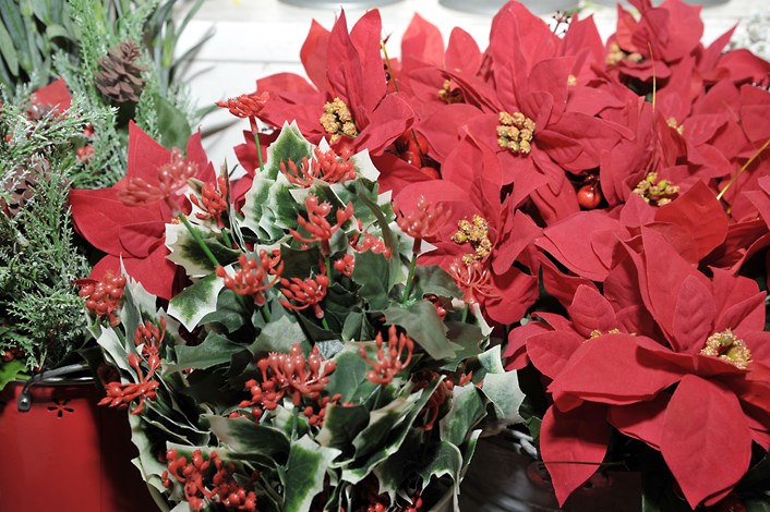 Magical Christmas fun at Leeds Kirkgate Market: christmasflowers.jpg