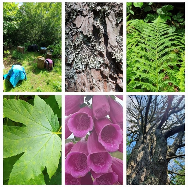 Luchd-ealain ionadail gan gairm do Thaisbeanadh Ealain aig Fèis Fiadh-bheatha nan Eilean: Nature Writing workshops plants - pictures used for inspiration - free-one time use, credit Vanessa Wright