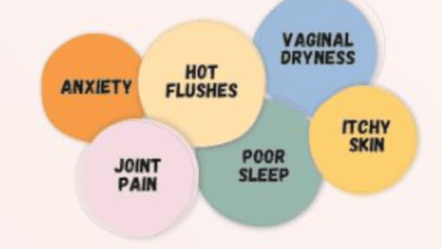 Physical Symptoms of Menopause - 1x1