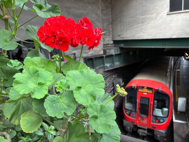 TfL Image -Edgware handc indoor