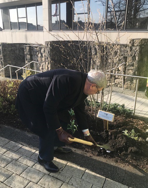 CC Graham Gooch planting the tree