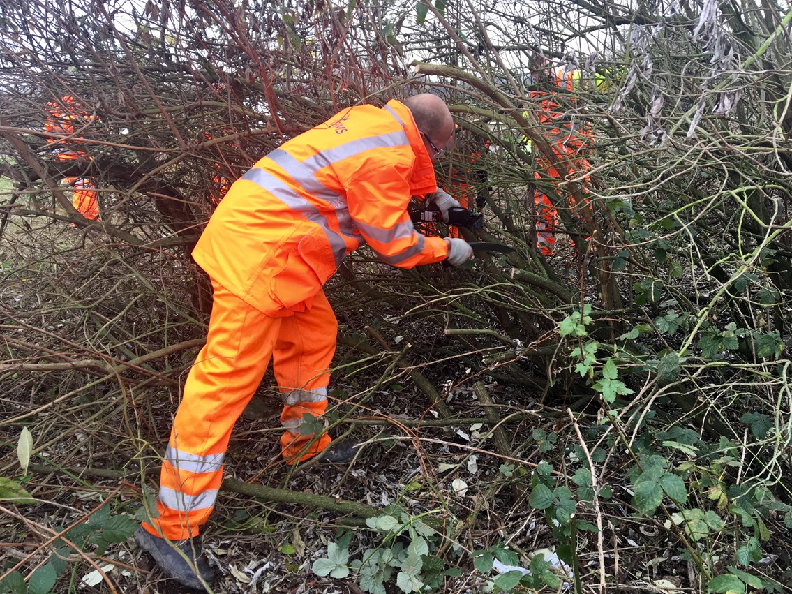 Gopsel Oak to Barking Walthamstow Wetlands 2