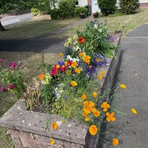 Healeys flowers square