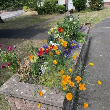 Healeys flowers square