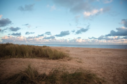 Beach at Seashore