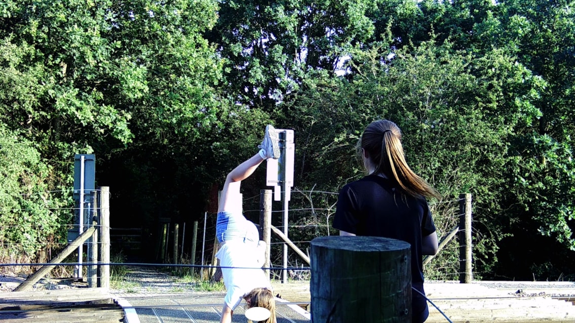 Emergency closure of Brickfields level crossing after dangerous behaviour by young people captured on camera: Anglia Brickfields level crossing misuse 2026 (8)