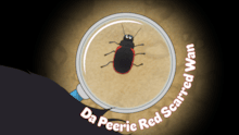 Da Peerie Red Scarred Wan animation thumbnail (c) Eleanor Meikle NatureScot: Da Peerie Red Scarred Wan animation thumbnail (c) Eleanor Meikle NatureScot