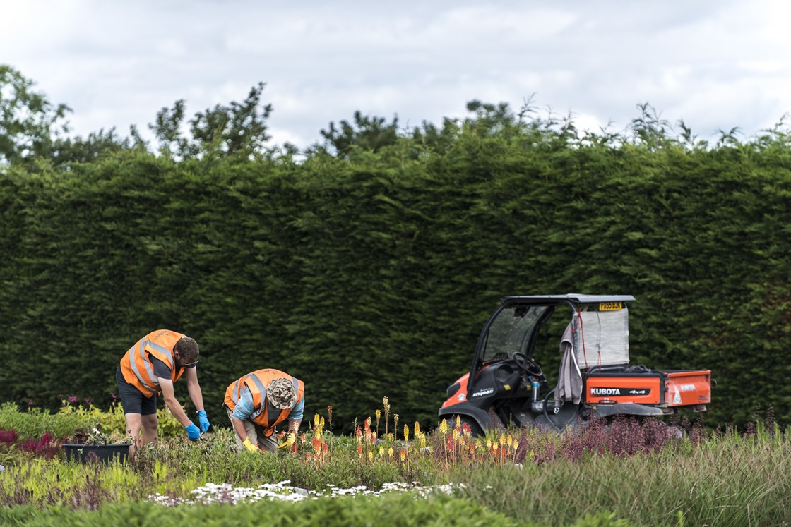 Crowders Nursery July 2019: Credit: Henry Thomas
(CEO HS2 Ltd, visits, Crowders, trees, nursery, plants, supply chain, Horncastle, Lincolnshire)
Internal Asset No. 8420