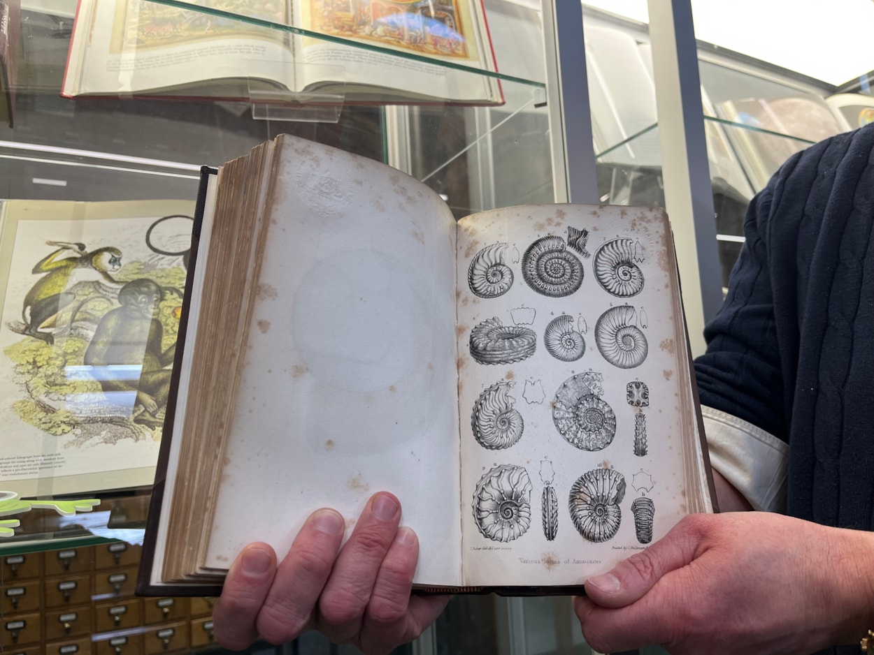 Antique book return: One of pair of antique library books written by a renowned 19th century geologist which have finally been returned 50 years late.
Volumes I and II of the esteemed Rev. William Buckland’s Geology and Mineralogy, written almost 200 years ago, were due back at Leeds Central Library in March 1976, but were instead discovered by staff in a charity shop in Beverley, East Yorkshire.