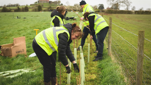 Tree planting (Bristol)