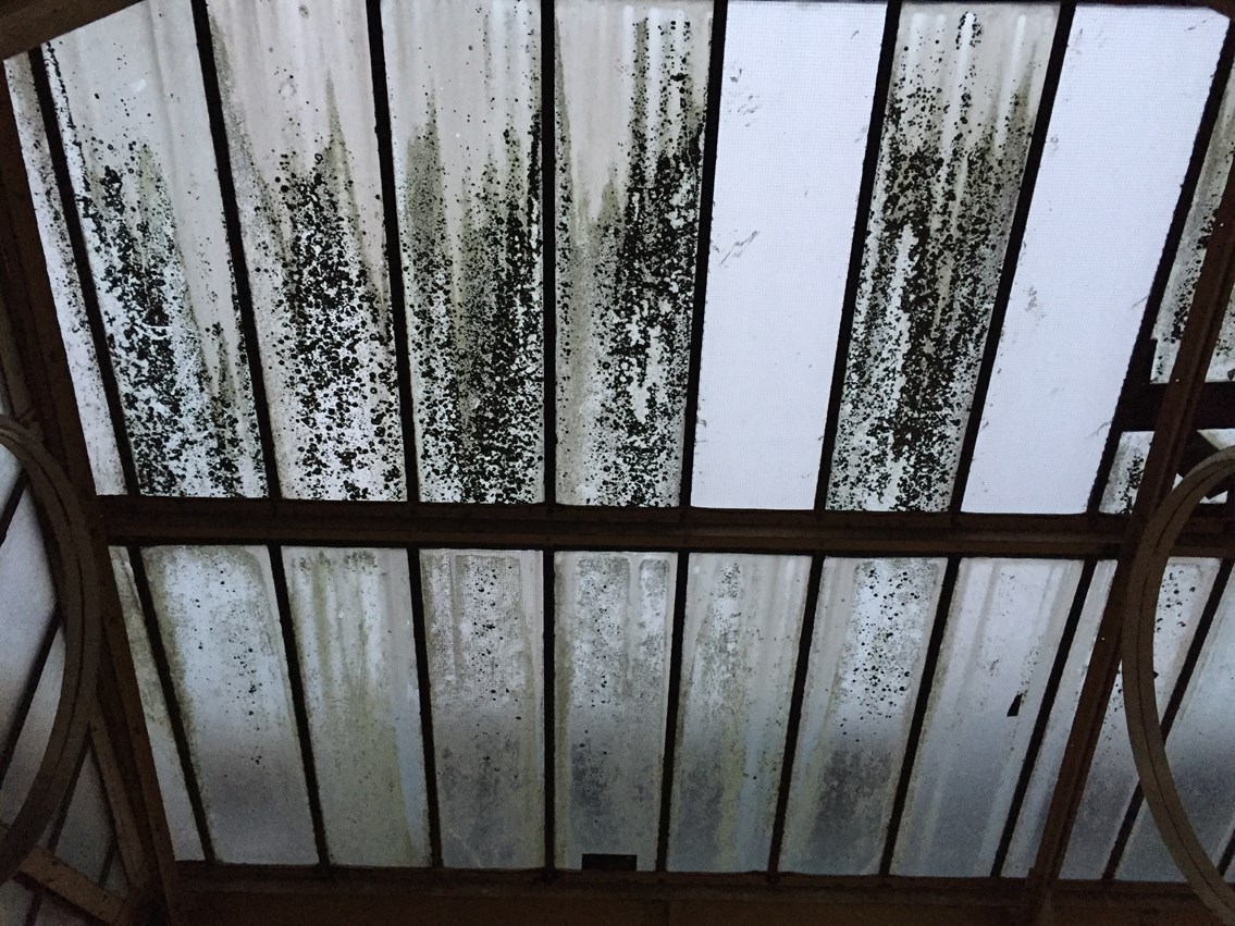 A section of the old station roof