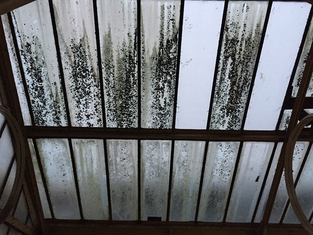 A section of the old station roof
