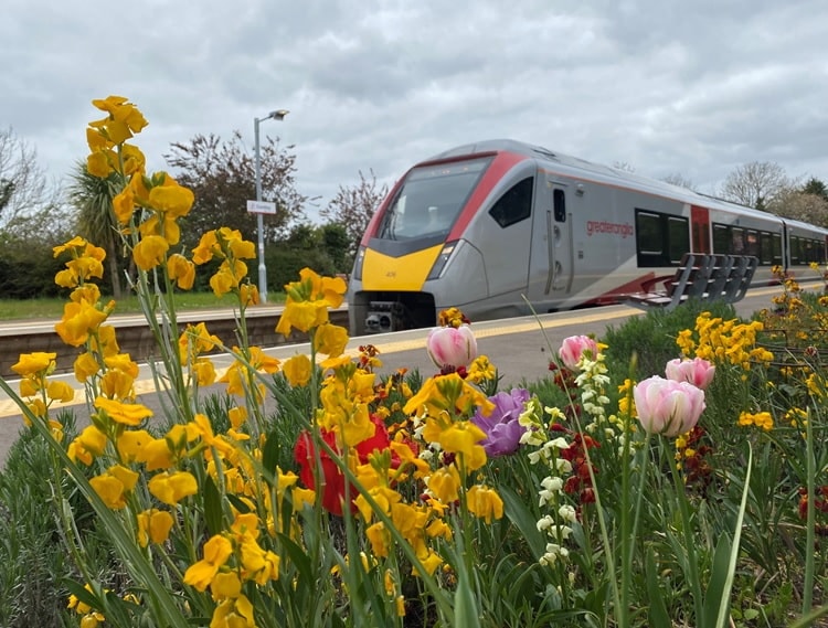 Greater Anglia Train Flowers