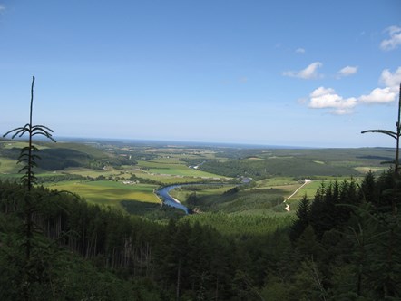 A view across the Speyside Way.