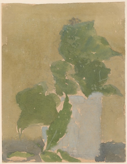 Gwaith celf Gwen John, Lilies of the Valley in a Jug, yn dangos dail gwyrdd lili'r dyffrynnoedd mewn jwg.