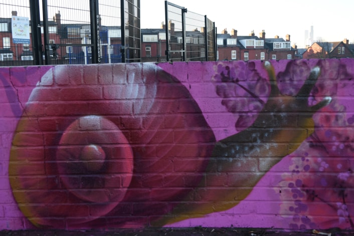 Mural at Banstead Park: The mural which covers the length of a wall around the multi-use games area is inspired by the wildlife you can find in a local park.