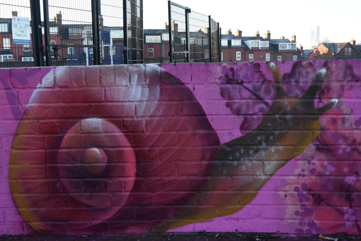 Mural at Banstead Park: The mural which covers the length of a wall around the multi-use games area is inspired by the wildlife you can find in a local park.