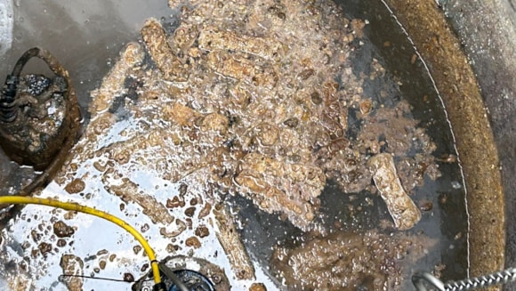 South West Water clears more than 5,500 avoidable sewer blockages in a year as it urges customers to only flush the three P’s: FOG in a water tank in Exmouth-2