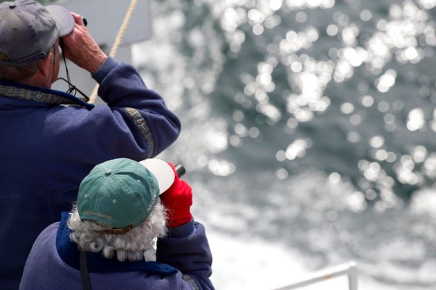 Tourists enjoying wildlife watching  © Lorne Gill SNH