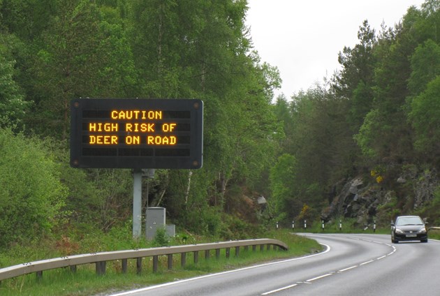 Shorter days increase deer risk on roads: Variable Messaging Sign with deer warning messaging - credit NatureScot