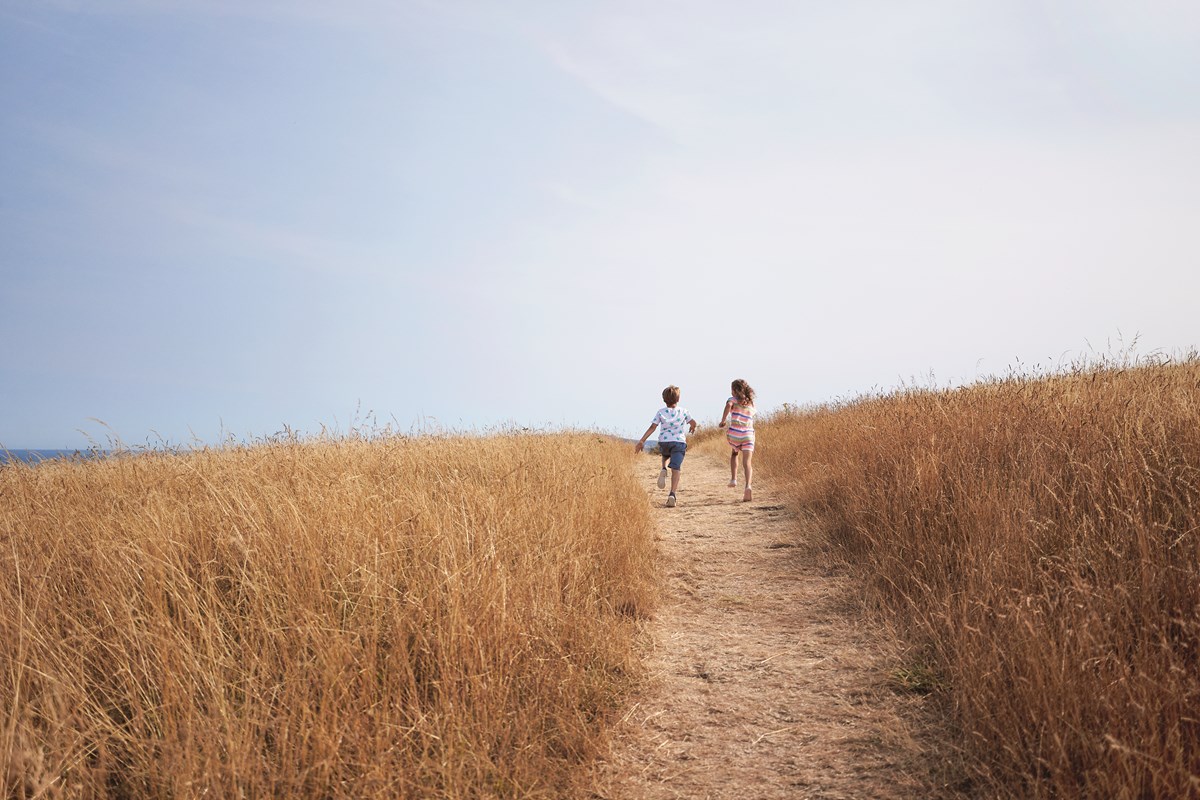 Nature Walks at Seaview