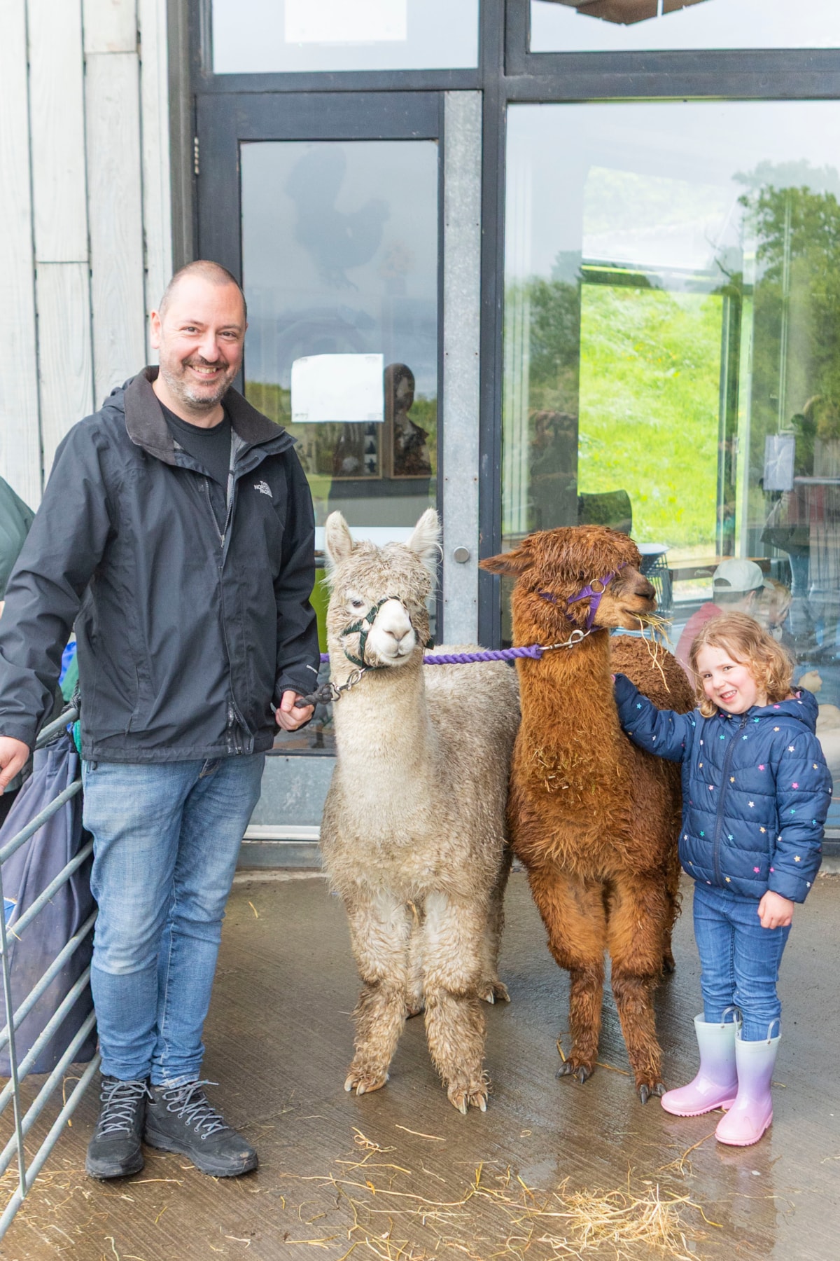 Woolly Weekend at the National Museum of Rural Life.  Photo © Claudia Scandella (4)