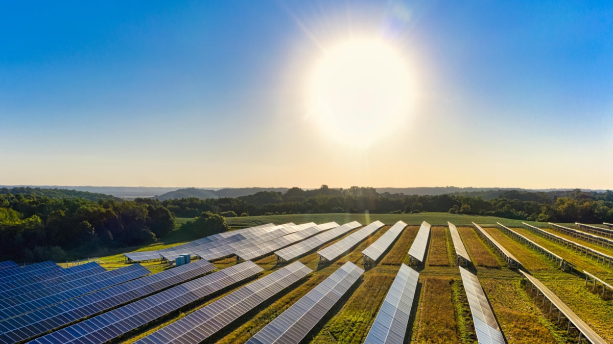 solar farm sunny day cropped