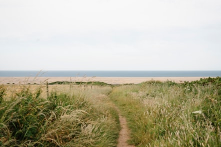 Beach view at at Littlesea