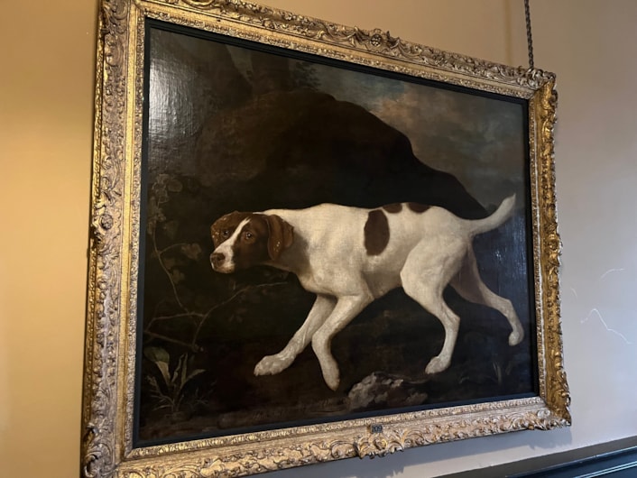 Pet portrait: The beautiful oil painting of Lord Clermont’s faithful canine companion has gone on display to visitors for the first time in a number of years, following a loan spell at Wentworth Woodhouse in Rotherham.

Painted by celebrated artist George Stubbs in 1772, the portrait of Phillis was commissioned by her owner William Henry Fortescue, Lord Clermont, a keen sportsman who kept a sizeable kennel, but who was known to be particularly fond of Phillis.