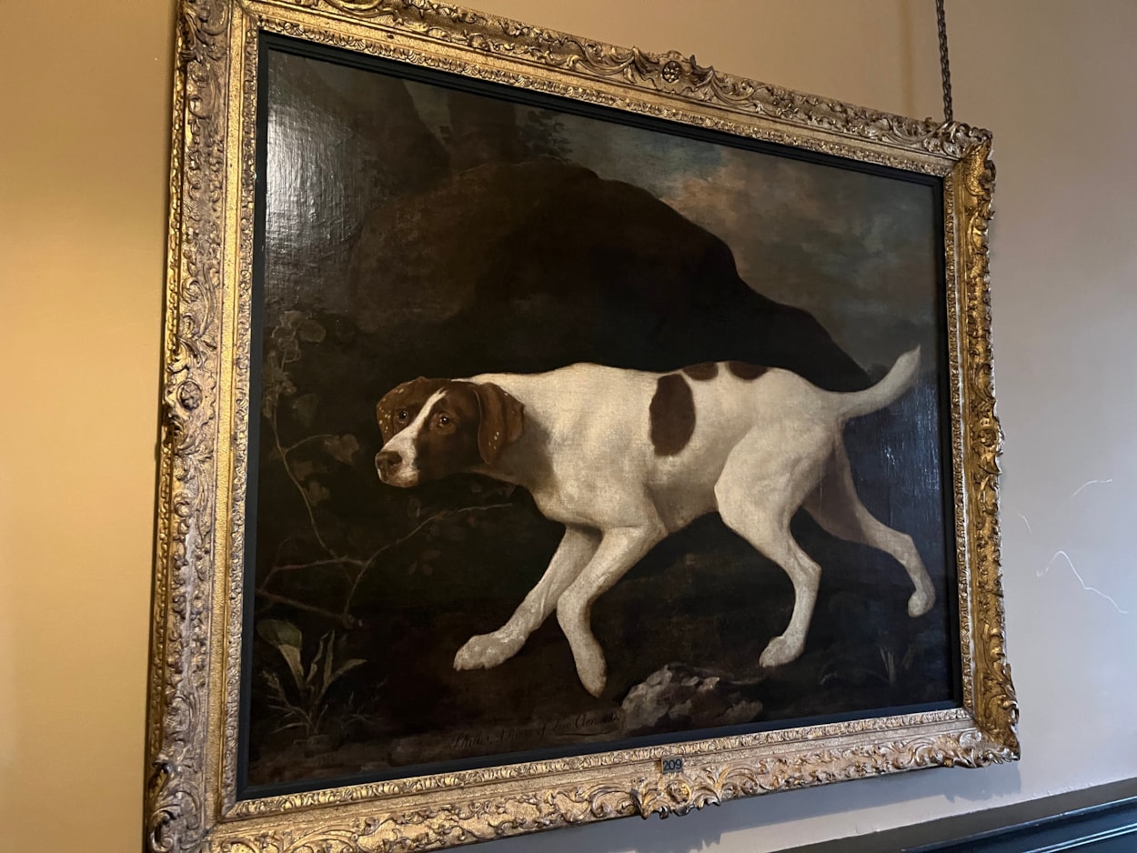 Pet portrait: The beautiful oil painting of Lord Clermont’s faithful canine companion has gone on display to visitors for the first time in a number of years, following a loan spell at Wentworth Woodhouse in Rotherham.

Painted by celebrated artist George Stubbs in 1772, the portrait of Phillis was commissioned by her owner William Henry Fortescue, Lord Clermont, a keen sportsman who kept a sizeable kennel, but who was known to be particularly fond of Phillis.