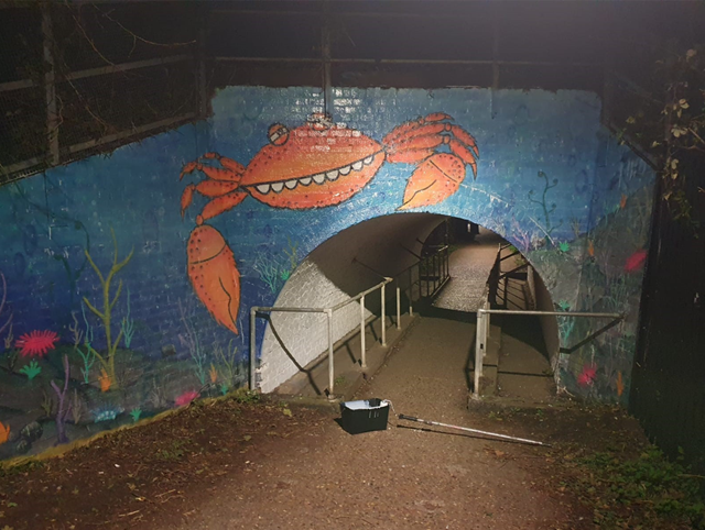 Southern region graffiti: Stream Walk Whitstable success!