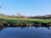 Upper River Wye willow stakes: Upper River Wye willow stakes