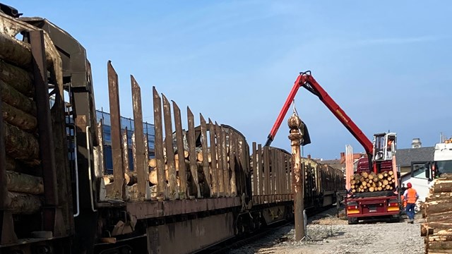 Welsh timber returns to the railway for carbon-cutting test run: Welsh timber being loaded on to freight wagons