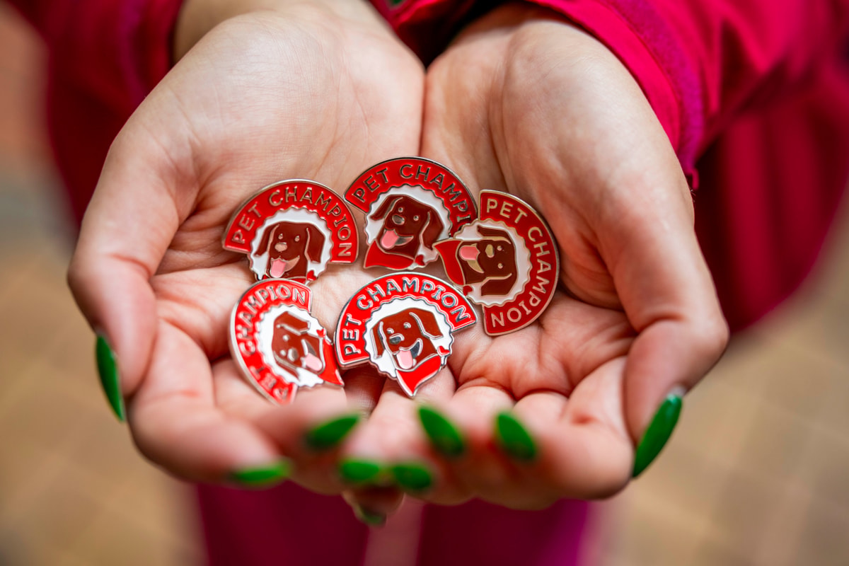 LNER Pet Champion Pin Badges