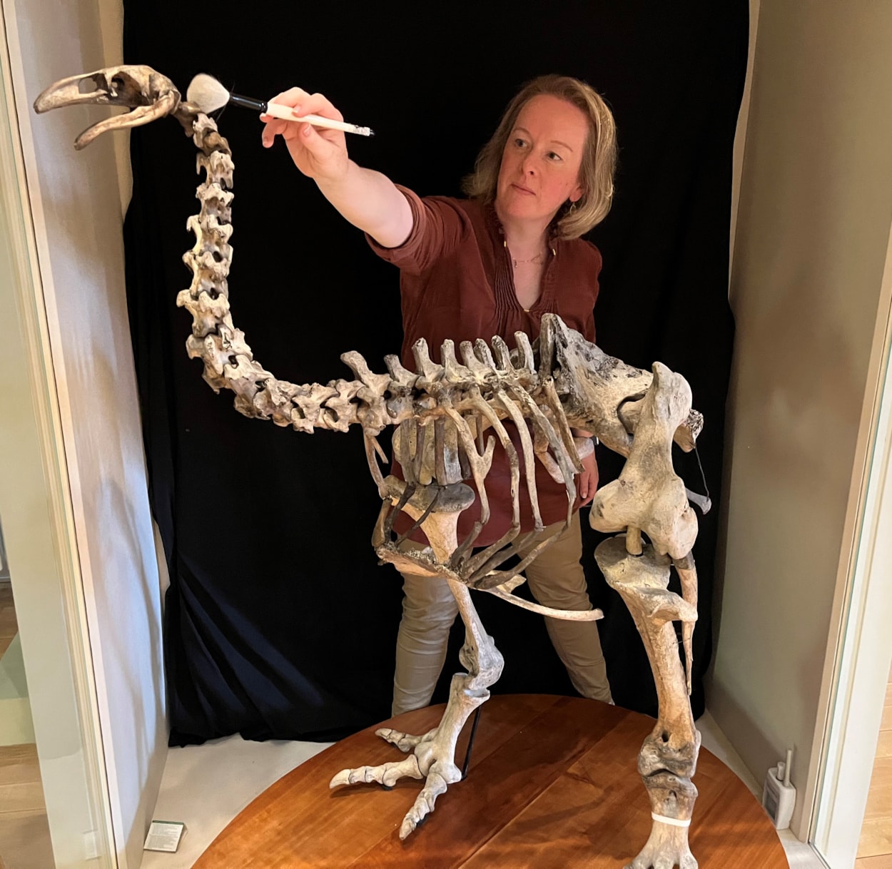 Moa cleaning: Clare Brown, Leeds Museums and Galleries' curator of natural sciences cleans the incredibly rare and complete bones of the heavy-footed moa, a huge flightless bird which once roamed parts of New Zealand. The bones are on display at Leeds City Museum.