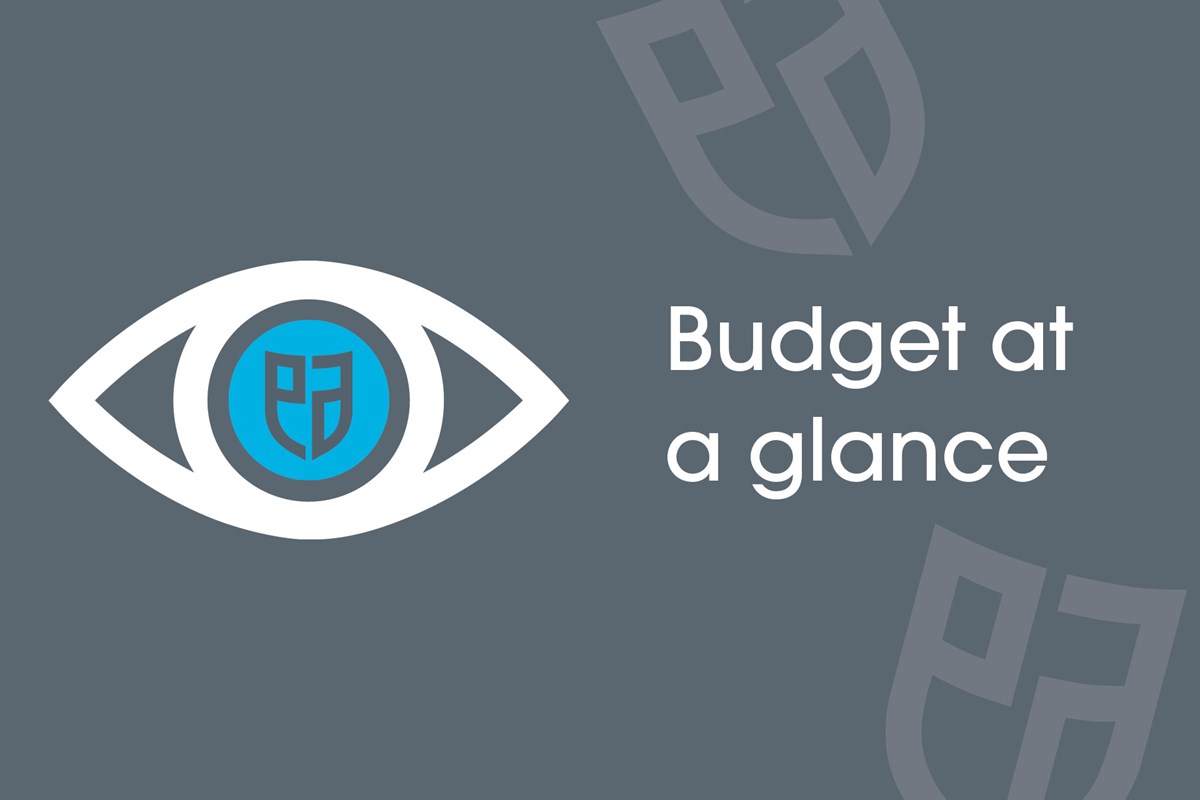Budget at a glance