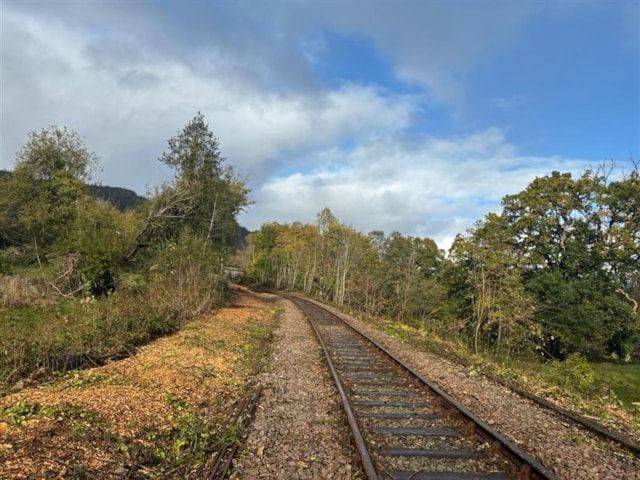 Conwy Valley line deveg Oct2025 - 2: Conwy Valley line deveg Oct2025 - 2