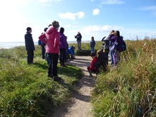 Volunteers at St Cyrus NNR: Volunteers, school and public groups at St Cyrus National Nature reserve. © Lorne Gill/NatureScot