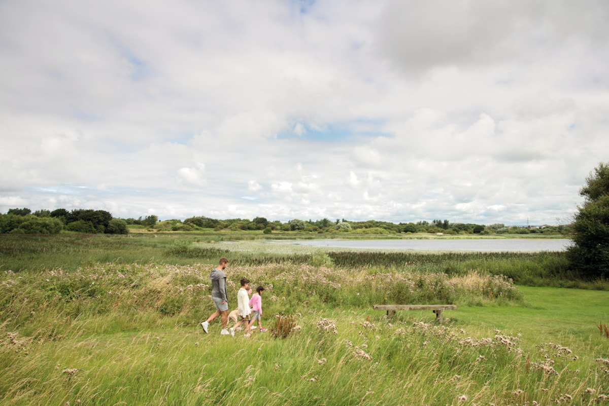 Marton Mere family walk